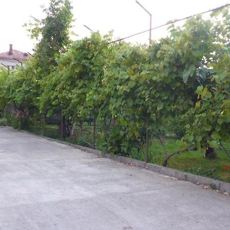 Guest House U Aleny Гагра Екстериор снимка