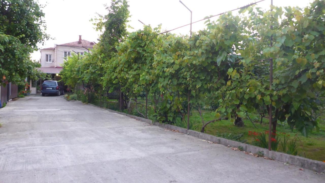 Guest House U Aleny Гагра Екстериор снимка